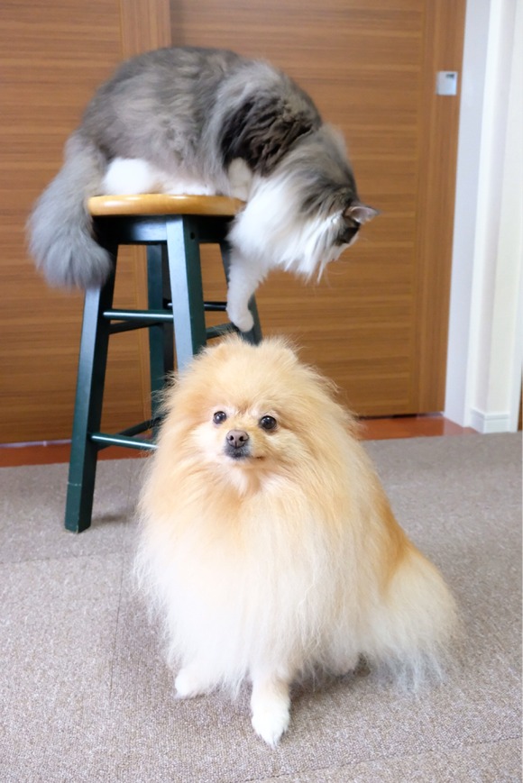 D9B90B3C-E998-45A4-827A-3AACBA9C8C5E