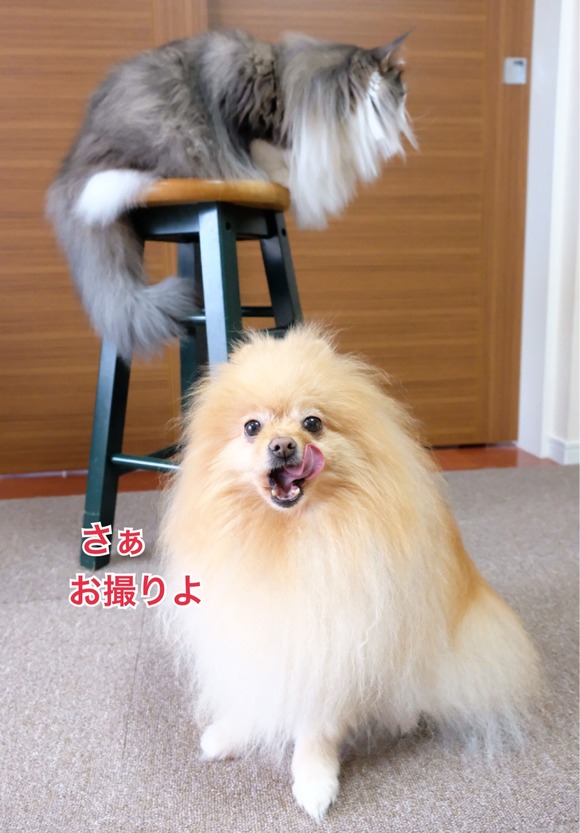 9B74746E-9E9C-4FA0-B787-02BF017E01E6