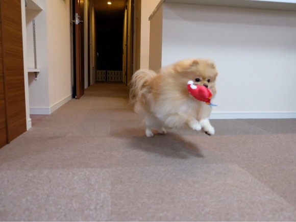 A581D493-0B25-425A-992E-A58A5B182323