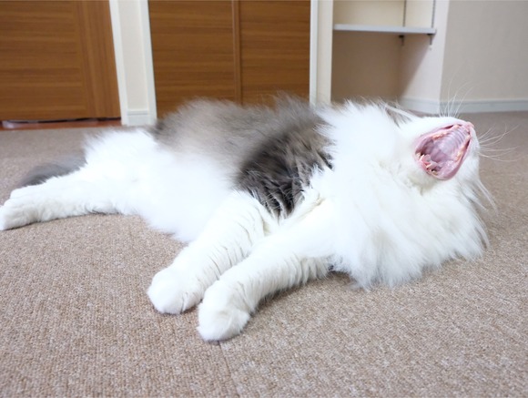 2C43C4BB-F23B-4BB4-8224-B5BAF2414601