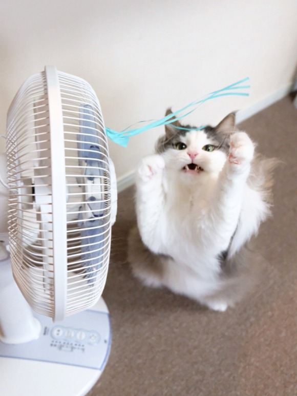 BAA74A9C-8187-4542-AD77-CE0453078042