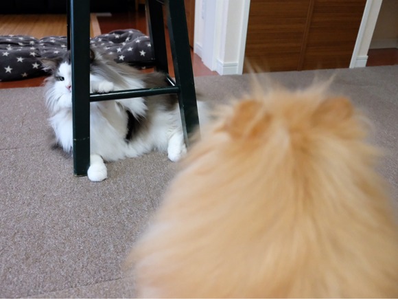 C73DA1E4-07EA-4731-9483-64926DF34F82