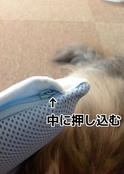 $バカきょうだいの記録