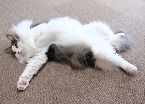 C693EFB2-5856-4355-B70D-45E9F91A298D