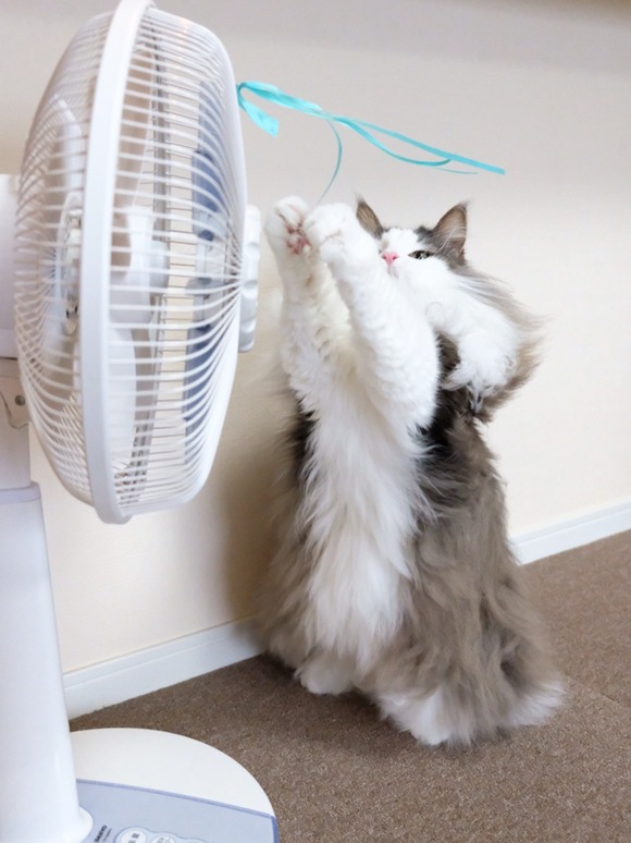 F98EA273-8B21-4505-970C-44C7B267CAE1