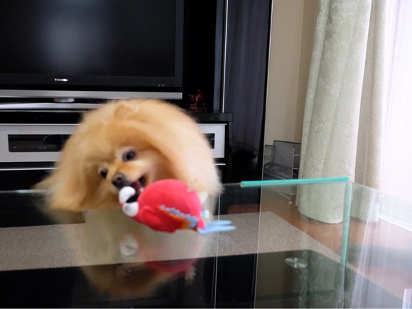 3001C982-67AE-4F67-AAA5-D32F325793FE