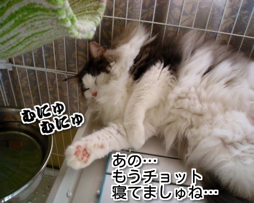 $バカきょうだいの記録