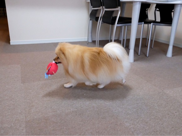 0366C570-6F82-40F9-BA21-B58F637EB733