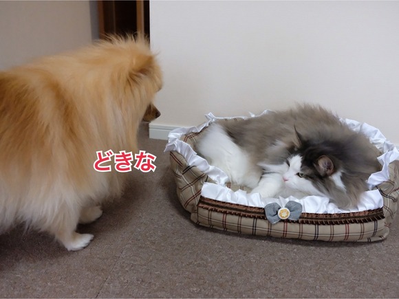 758F76F8-910E-4C90-9B9F-A9ADB5F6A3FE