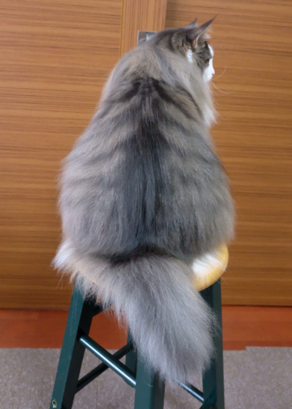 1AE19ABA-435E-4121-B854-00960043F106