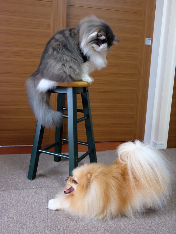 D586E156-1768-46C6-85A3-A1B62A993BE7