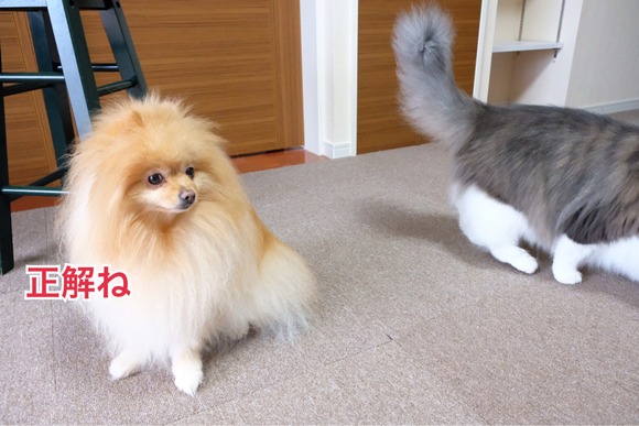 E0CCDC3D-CF76-4AB4-A491-0D350089FC57