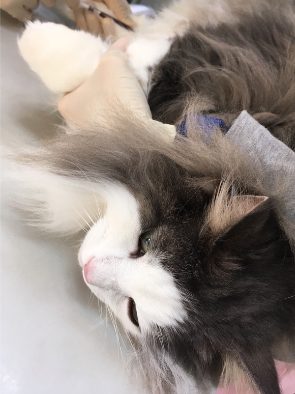 3089EF89-4EDF-4D9E-A6C6-B804FE986781