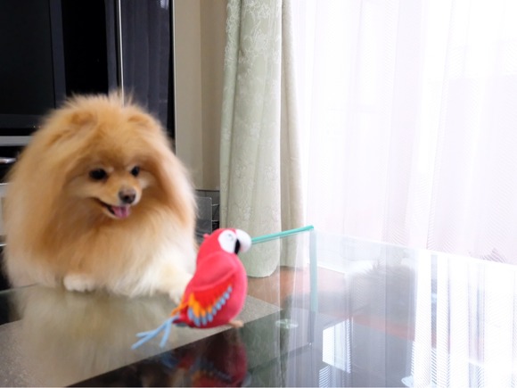 6E10FFEA-6DCD-42FB-AFF5-9D7102CDF099