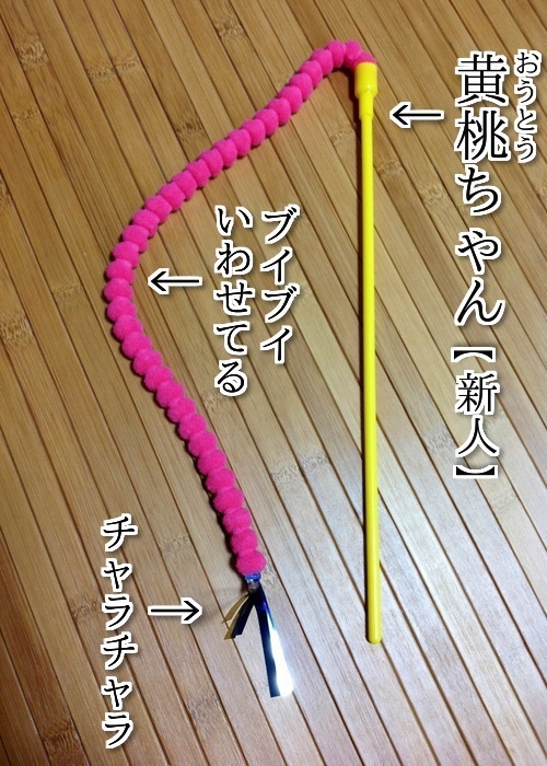 $バカきょうだいの記録