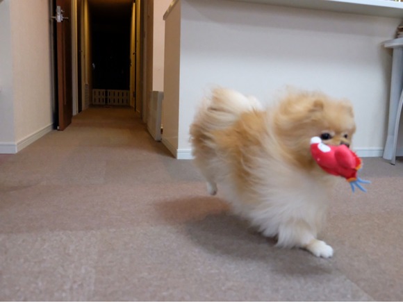 D0EF64C6-4DF9-484D-BA42-233525B0782F