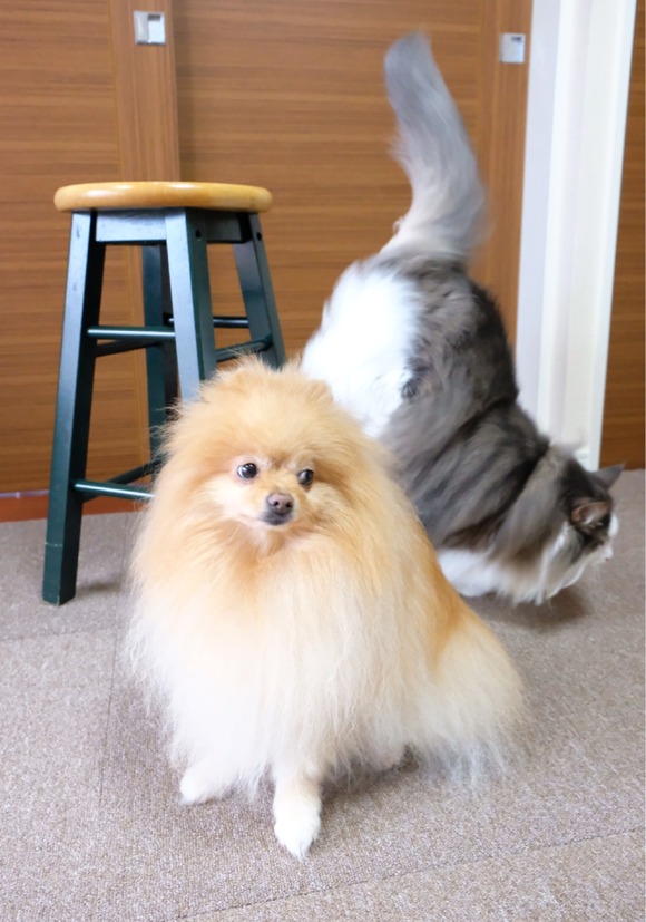 67EB4A22-0B6B-4534-901C-5C9F16EAAAF6