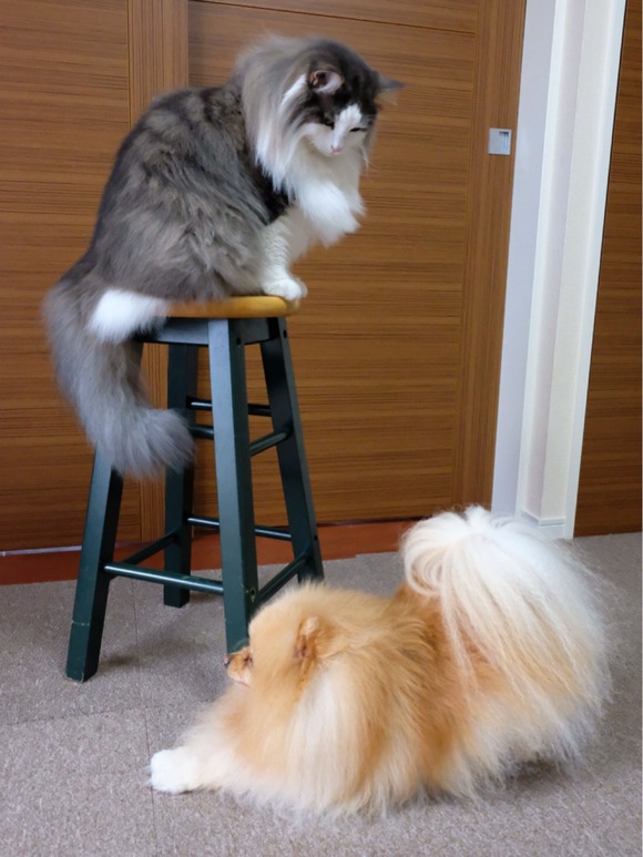 EAB4D372-007F-4228-8713-60FB8A2A9915