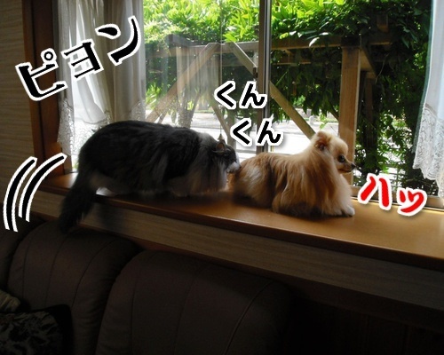 $バカきょうだいの記録