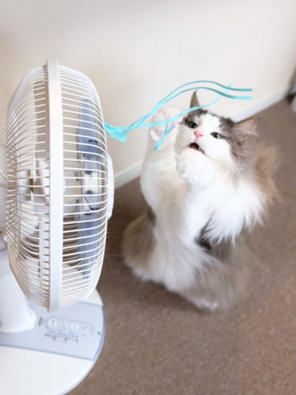 7738B887-A3B7-4324-B3EF-69DE1C8C66E9