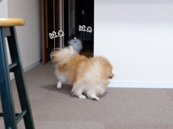 EAE4FE12-E5F2-464E-AC63-2B585F1FC08A