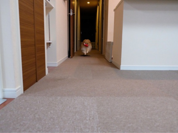 6D1BEB90-002F-4F40-8351-B35224D2B565