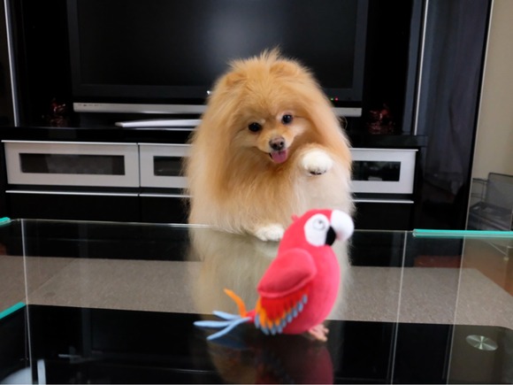 768F2750-E825-42E2-9168-228EBED61CAD