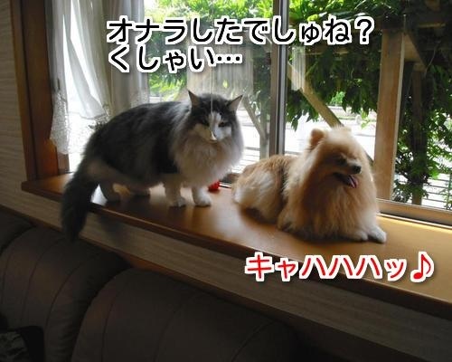 $バカきょうだいの記録