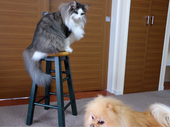 2C078BD5-2D22-4B1D-8B91-412B2CF4401C