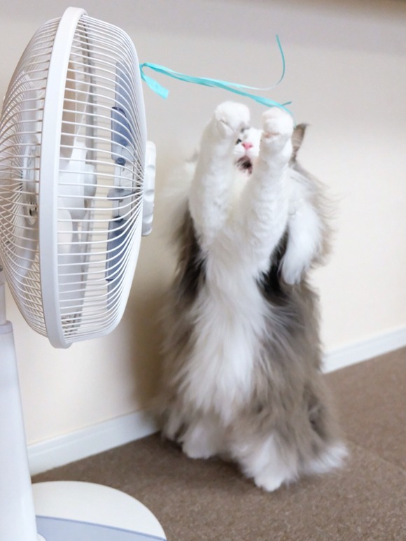 B562CA75-CC8A-4B88-961E-5B60A727CF25