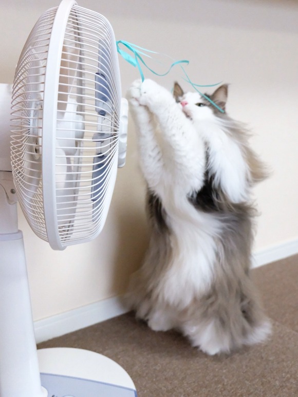 8E5E9BBD-F0FC-4CDF-9F68-82CE39C2D12B