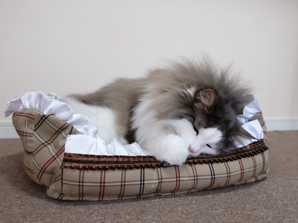 86B51DF6-0E28-4D54-A493-F27674422044