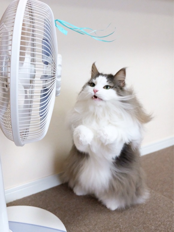 99E80DBE-D6E3-4ABB-A34D-F043354C14DB