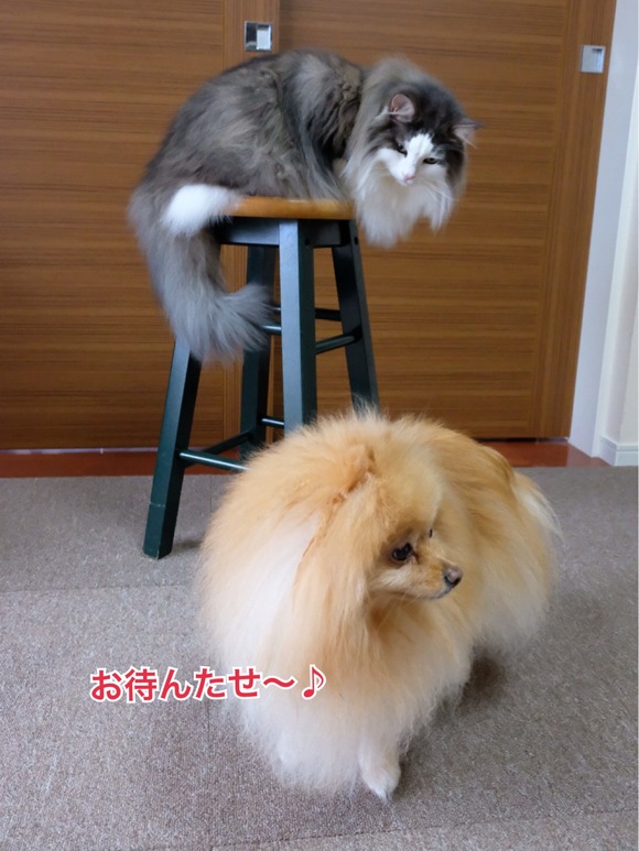 95686D98-7205-4E2A-8743-3A1F56D603C5