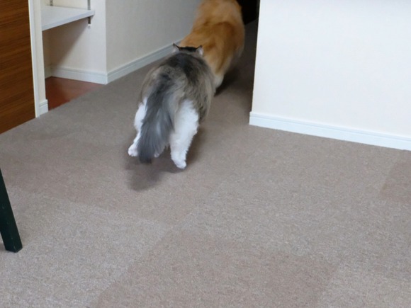 A12E4405-B5BA-4D41-97F8-03446E23106F