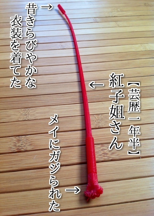 $バカきょうだいの記録