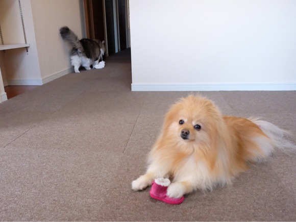 79A5C6D7-C5D8-4F0B-A9CC-98AD44C9DD8C