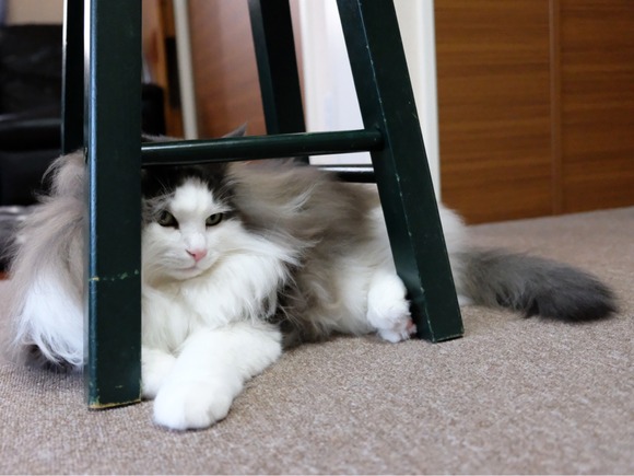 258A7D97-53DD-4CB4-ABD9-4DFBC60520E2