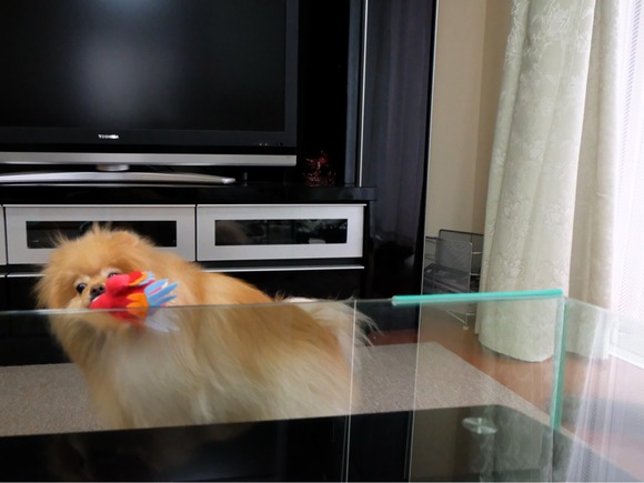 0FCAD970-62D5-4B5E-9BD3-92480E941687