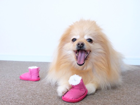 88B521BB-3E97-44CC-AF1F-D3DC8504820F