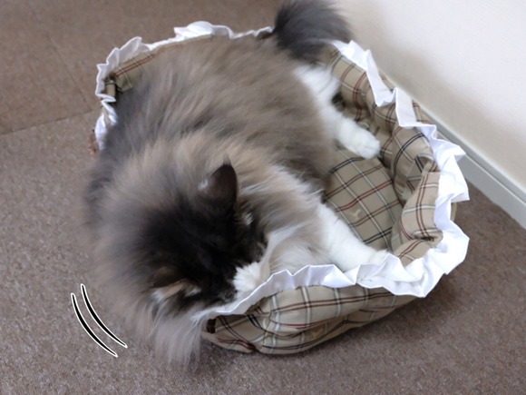 BBCCE02E-745F-4A7E-BE13-71BB74EE51B5