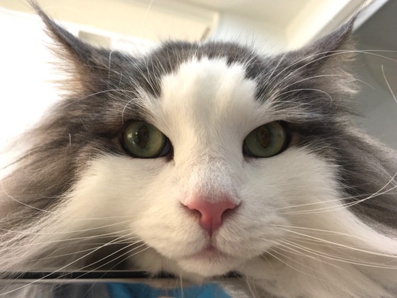 2297C752-4D34-4964-BAAA-C9811A24C752