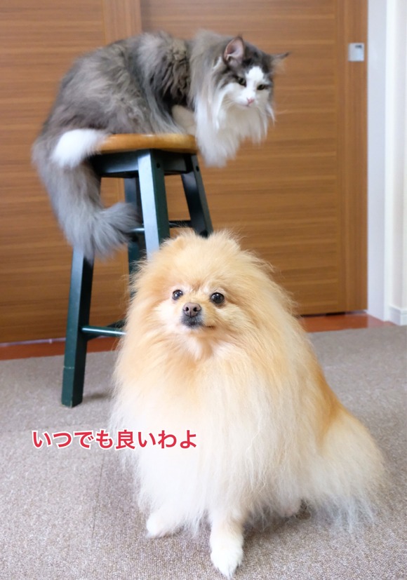 203A68D6-83EB-40A3-AEB8-CD88F3A1A23D