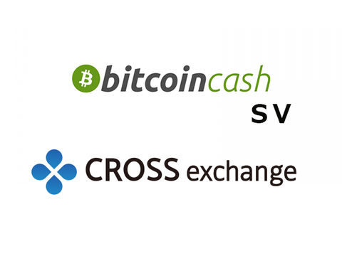 BCHSV