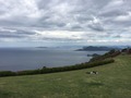 IMG_3788