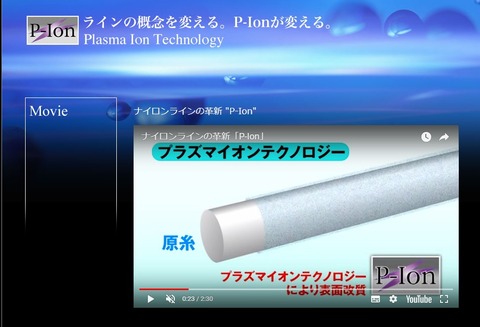 P-IOn 説明2
