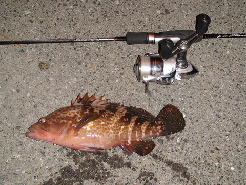 DSC00278
