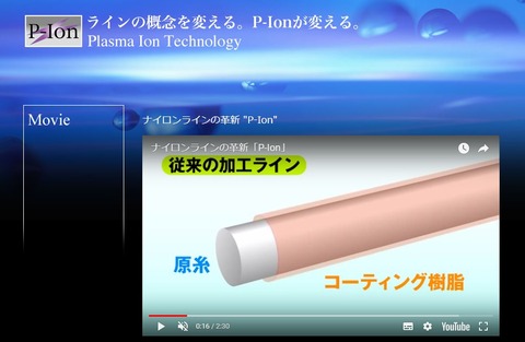 P-IOn 説明1