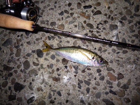 RIMG0344