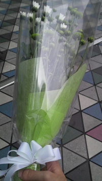 2009062217400000